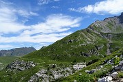 SENTIERO DEI FIORI ‘Claudio Brissoni’ ad anello da Capanna 2000 il 17 luglio 2018 - FOTOGALLERY